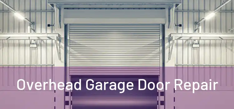  Overhead Garage Door Repair 