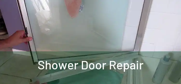  Shower Door Repair 